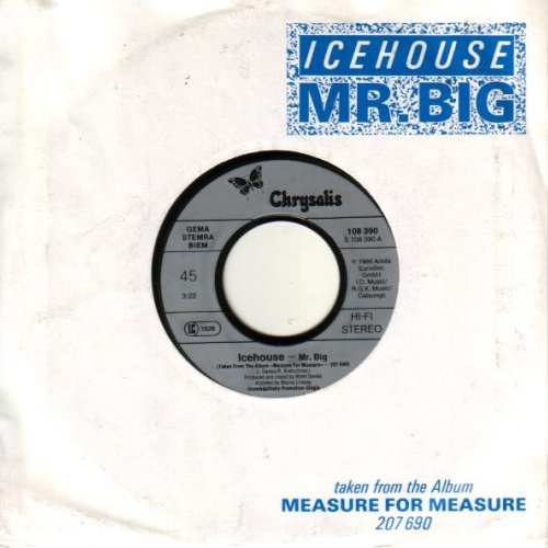Vinyl / Icehouse - Mr. Big