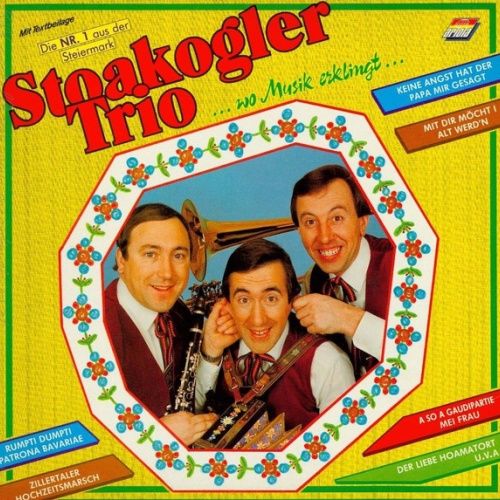 Vinyl / Stoakogler Trio - Wo Musik Erklingt