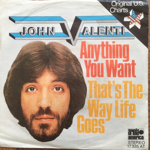 Vinyl / John Valenti - Anything You Want / That's The Way Life Goes
