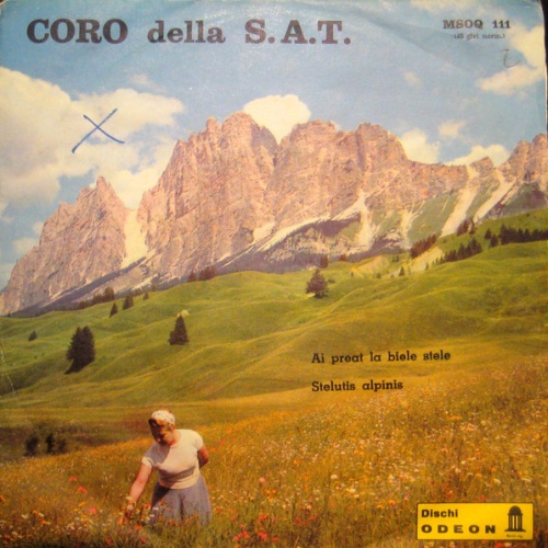 Vinyl / Coro Della S.A.T. - Ai Preat La Biele Stele / Stelutis Alpinis