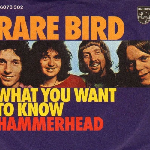 Vinyl / Rare Bird - What You Want To Know