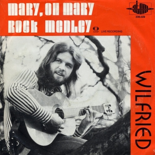 Vinyl / Wilfried - Mary, Oh Mary / Rock Medley