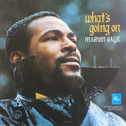 Vinyl / Marvin Gaye - What's Going On