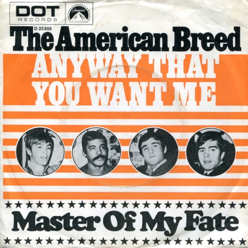 Vinyl / The American Breed - Anyway That You Want Me