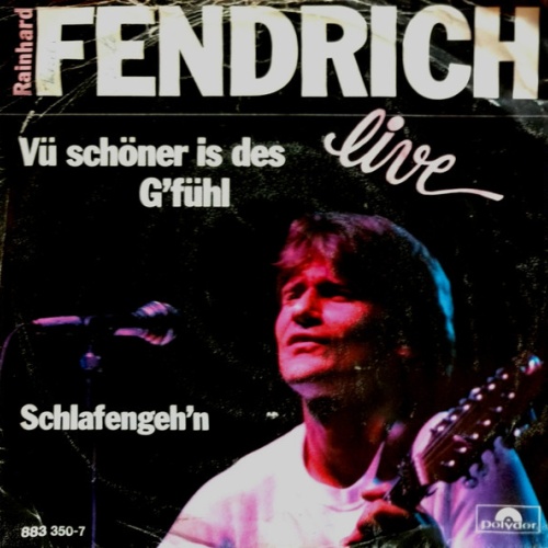 Vinyl / Rainhard Fendrich - Vü Schöner Is Des G'fühl