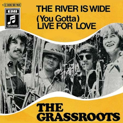 Vinyl / The Grassroots* - The River Is Wide / (You Gotta) Live For Love