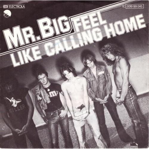 Vinyl / Mr Big - Feel Like Calling Home