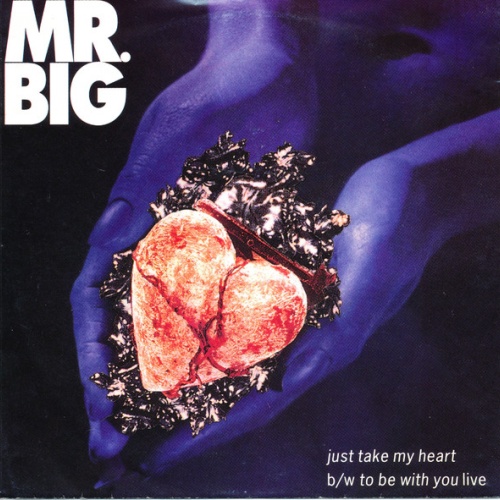 Vinyl / Mr. Big - Just Take My Heart