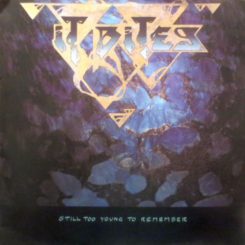 Vinyl / It Bites - Still Too Young To Remember