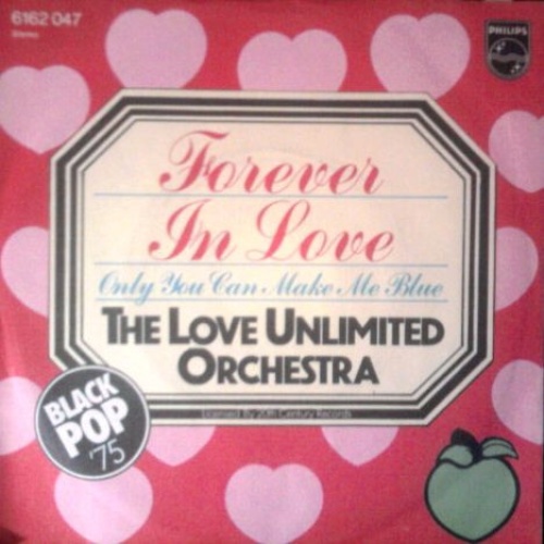 Vinyl / The Love Unlimited Orchestra* - Forever In Love