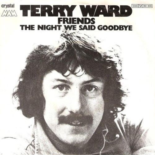 Vinyl / Terry Ward - Friends / The Night We Said Goodbye