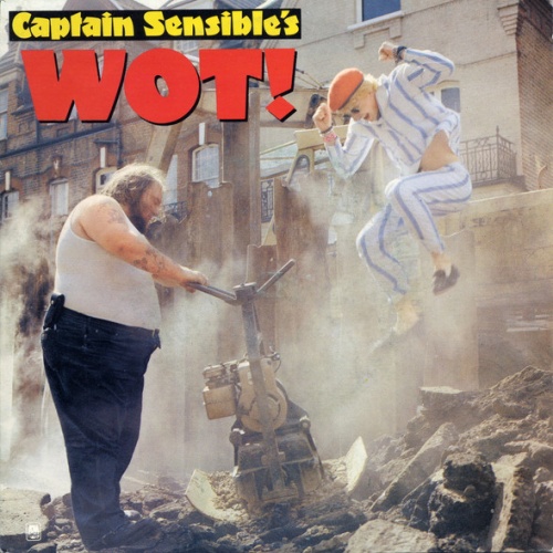 Vinyl / Captain Sensible - Wot!