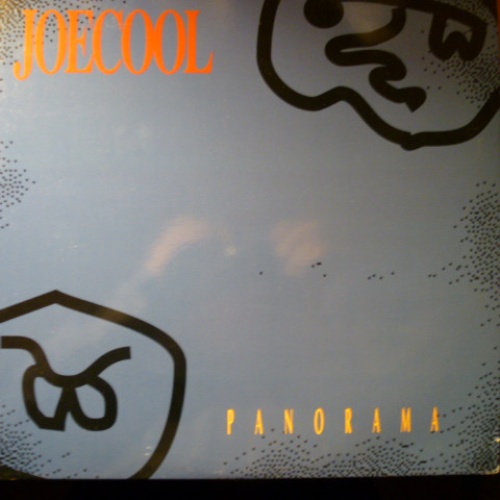 Vinyl / Joecool - Panorama