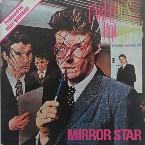 Vinyl / Fabulous Poodles - Mirror Star