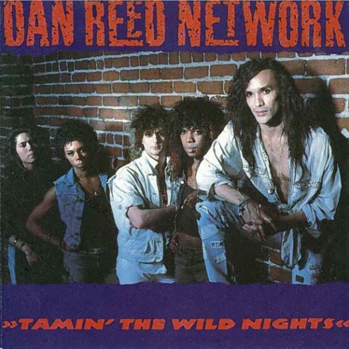 Vinyl / Dan Reed Network - Tamin' The Wild Nights