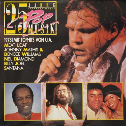 Vinyl / Various - 25 Jahre Internationale Popmusik 1978