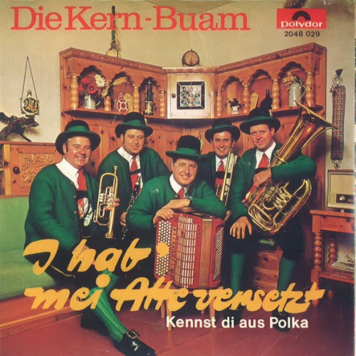 Vinyl / Die Kern-Buam* - I Hab' Mei Alte Versetzt