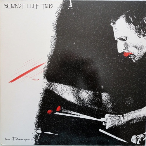 Vinyl / Berndt Luef Trio - In Bewegung