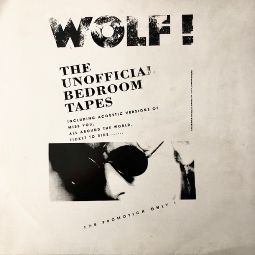 Vinyl / Wolf! - The Unofficial Bedroom Tapes
