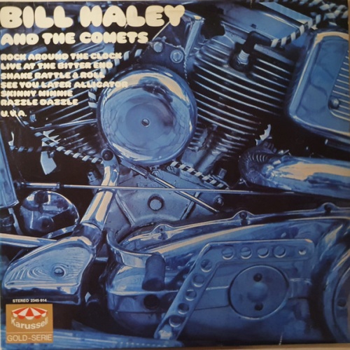 Vinyl / Bill Haley And The Comets* - Live At The Bitter End