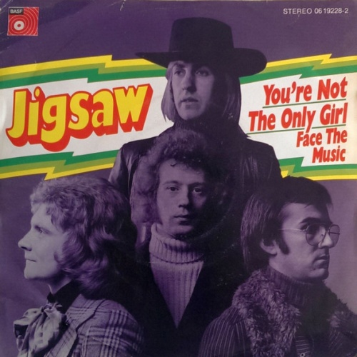 Vinyl / Jigsaw (3) - You're Not The Only Girl / Face The Music