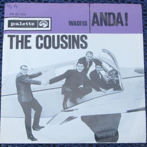 Vinyl / The Cousins - Anda! / Wadiya