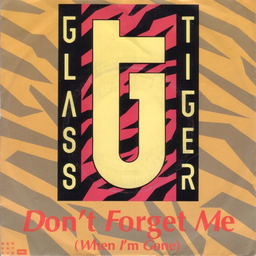 Vinyl / Glass Tiger - Don't Forget Me (When I'm Gone)