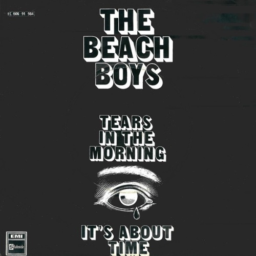 Vinyl / The Beach Boys - Tears In The Morning
