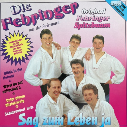 Vinyl / Original Fehringer Spitzbuam* - Sag Zum Leben Ja
