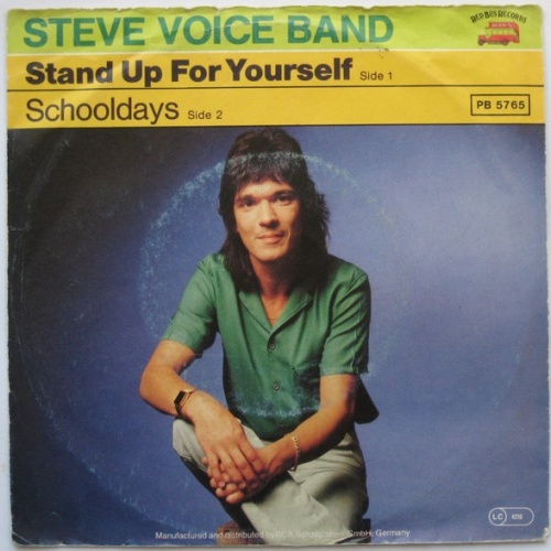 Vinyl / Steve Voice Band - Stand Up For Yourself