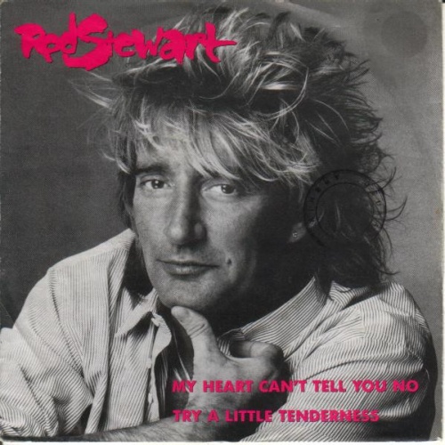 Vinyl / Rod Stewart - My Heart Can't Tell You No