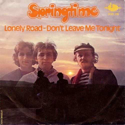 Vinyl / Springtime (3) - Lonely Road / Don't Leave Me Tonight