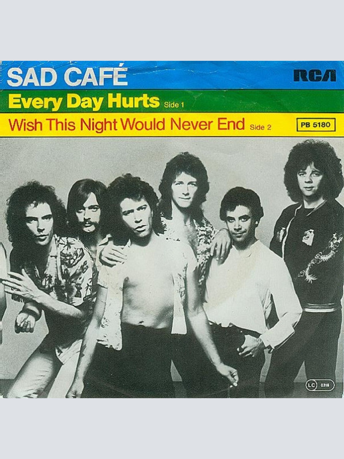 Vinyl / Sad Café - Every Day Hurts