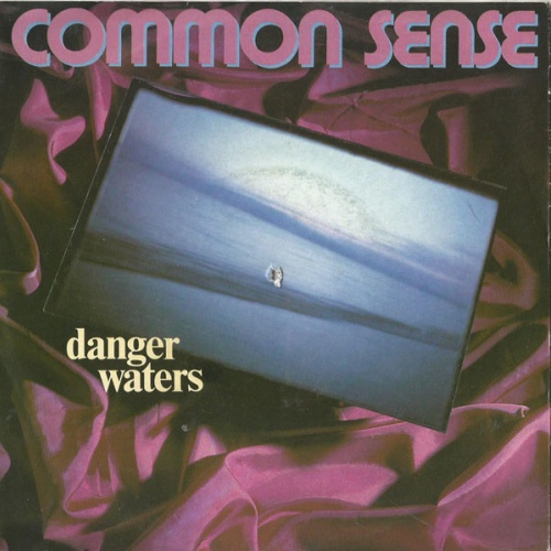 Vinyl / Common Sense (5) - Danger Waters