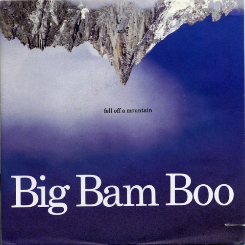Vinyl / Big Bam Boo - Fell Off A Mountain