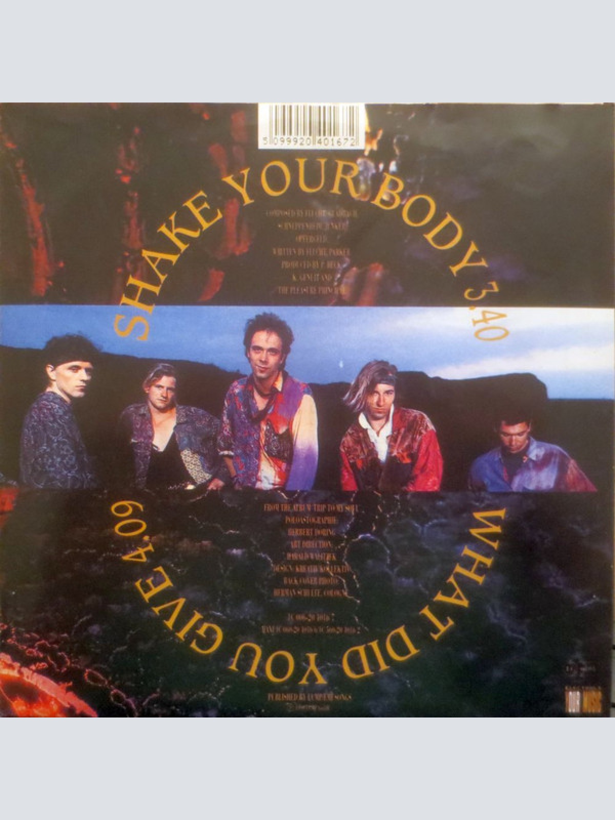 Vinyl / The Pleasure Principle - Shake Your Body