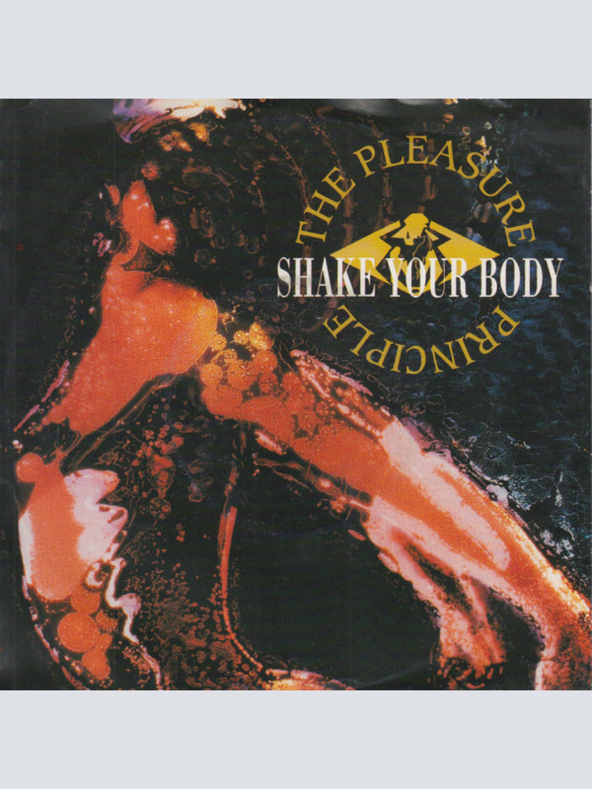 Vinyl / The Pleasure Principle - Shake Your Body