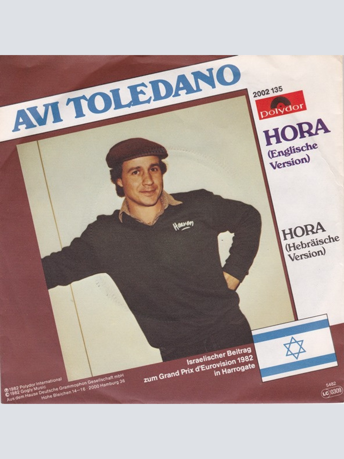 Vinyl / Avi Toledano - Hora
