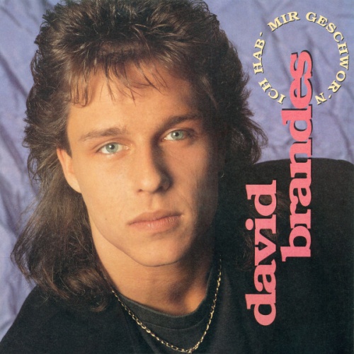 Vinyl / David Brandes - Ich Hab' Mir Geschwor'n