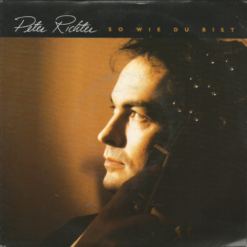 Vinyl / Peter Richter - So Wie Du Bist