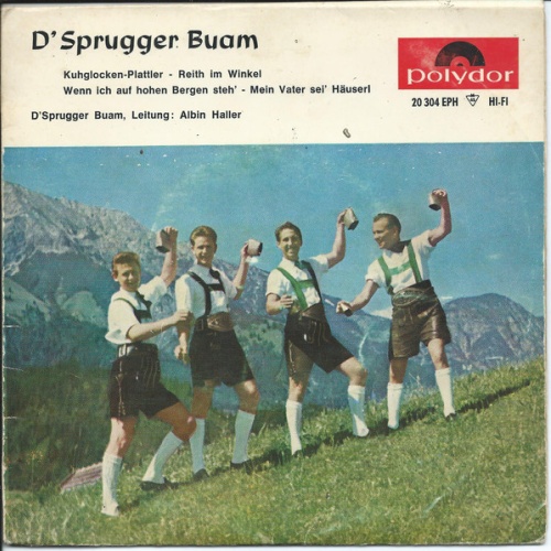 Vinyl / D'Sprugger Buam Leitung: Albin Haller - D'Sprugger Buam