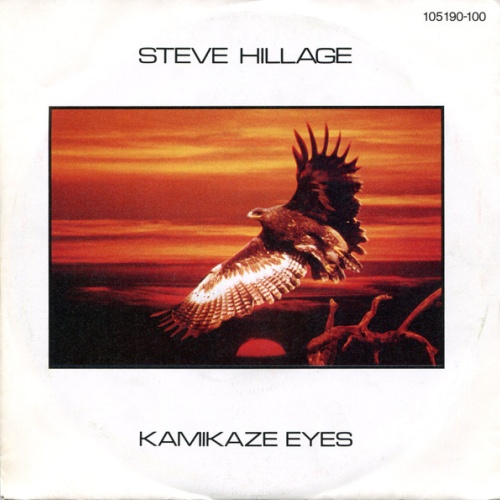 Vinyl / Steve Hillage - Kamikaze Eyes