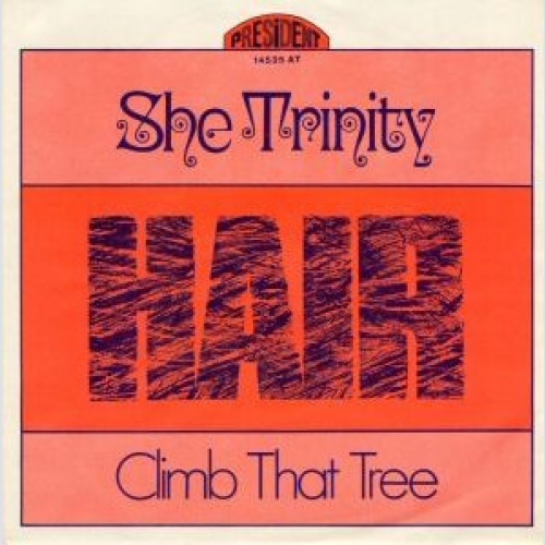 Vinyl / She Trinity - Hair