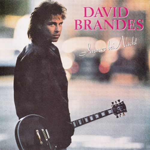 Vinyl / David Brandes - Immer Bei Nacht