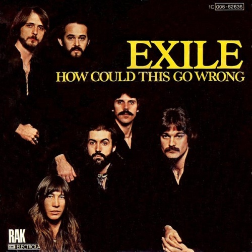Vinyl / Exile (7) - How Could This Go Wrong