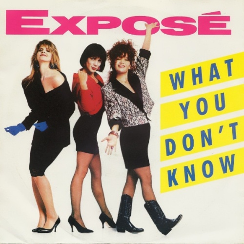 Vinyl / Exposé - What You Don't Know
