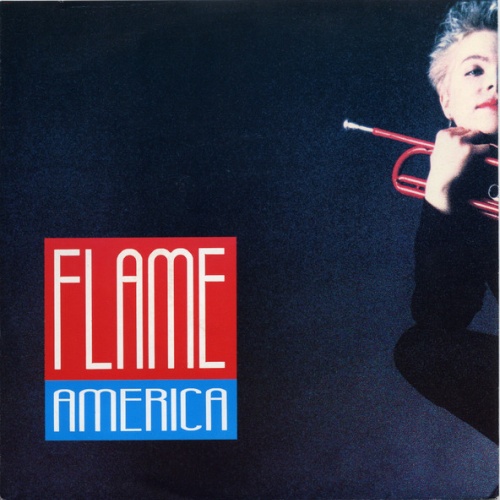 Vinyl / Flame (23) - America