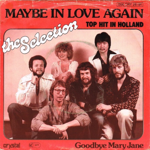 Vinyl / The Selection* - Maybe In Love Again