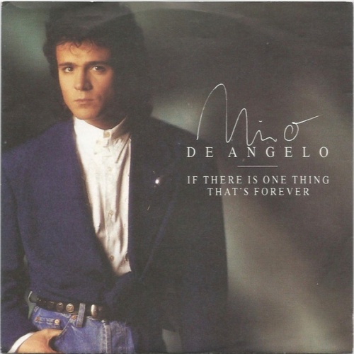 Vinyl / Nino de Angelo - If There Is One Thing That's Forever