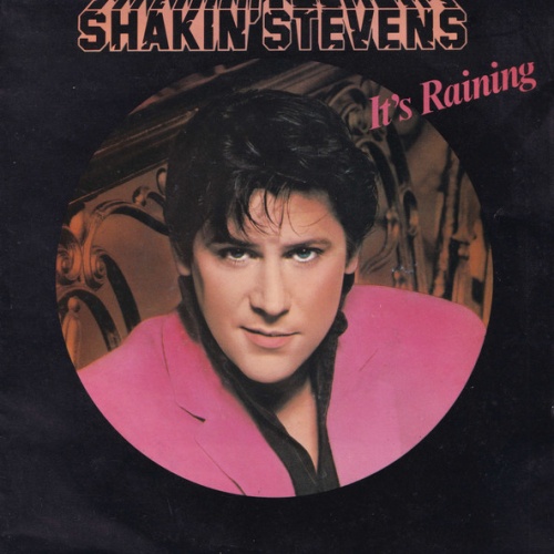 Vinyl / Shakin' Stevens - It's Raining